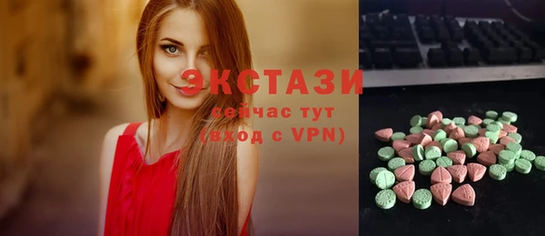 МДПВ Бородино