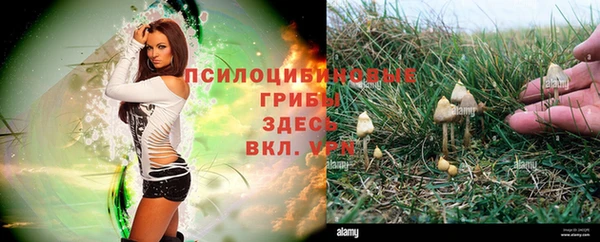 МДПВ Бородино