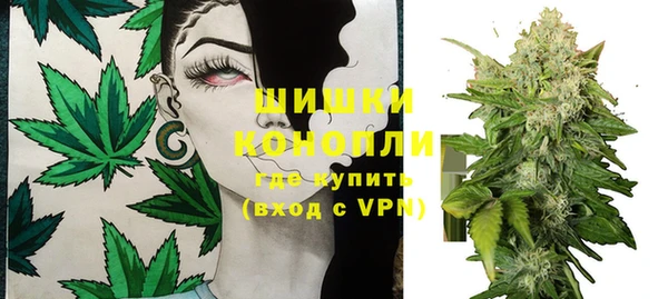 МДПВ Бородино