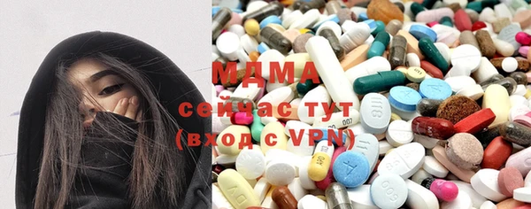 МДПВ Бородино