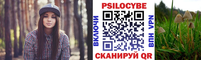 Псилоцибиновые грибы Cubensis  Горбатов 